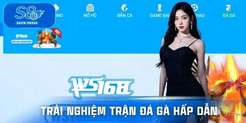 Trực tiếp đá gà S8 – Sống động từng trận